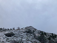 tropd_20220104_61d4729b3e2a1.jpeg