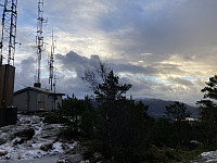 tropd_20220205_61fe0572157e4.jpeg