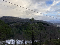tropd_20220205_61fe058f0b381.jpeg