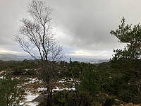 tropd_20220205_61fe06a549684.jpeg