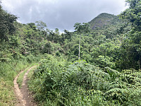 tropd_20220211_620688893f10f.jpeg