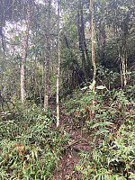 tropd_20220212_6207e8176d0d5.jpeg