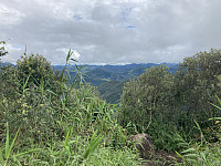 tropd_20220212_6207e823c0ce5.jpeg