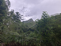 tropd_20220212_6207e8441a4a8.jpeg