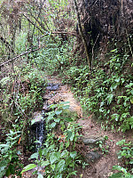 tropd_20220212_6207e84a1de97.jpeg