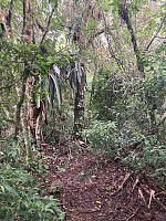 tropd_20220212_6207e84eac599.jpeg