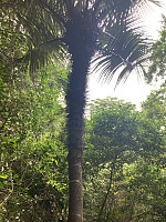 tropd_20220215_620c0e7b6868a.jpeg