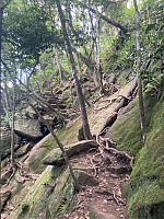 tropd_20220215_620c0e8c6191e.jpeg