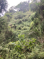 tropd_20220215_620c0ef2e0e15.jpeg