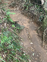 tropd_20220215_620c0f26d0c59.jpeg