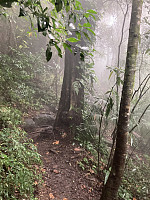 tropd_20220215_620c0fc456a50.jpeg