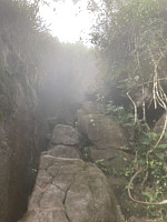 tropd_20220215_620c0fd2c9e06.jpeg