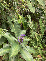 tropd_20220215_620c10a82b8d4.jpeg