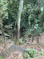 tropd_20220215_620c10beca8e6.jpeg
