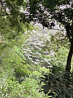 tropd_20220215_620c10d5e127b.jpeg
