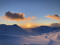 tropd_20220222_62151a74754a8.jpeg