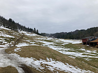 tropd_20220312_622c4a5957de5.jpeg
