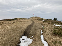 tropd_20220312_622c4a681d4b8.jpeg
