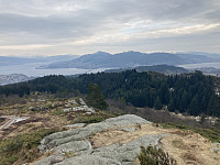tropd_20220312_622c4b3532f8c.jpeg