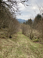 tropd_20220312_622c4c572df41.jpeg
