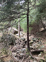tropd_20220312_622c4d0a16cd0.jpeg