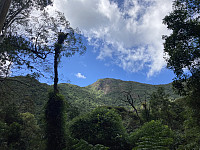tropd_20220316_62326933af3c3.jpeg