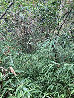tropd_20220316_62326987d8b39.jpeg