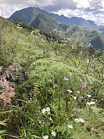 tropd_20220316_62326a205c2f8.jpeg