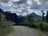 tropd_20220316_62326a2db2ded.jpeg