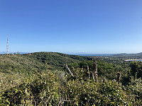 tropd_20220319_62364c97988a0.jpeg