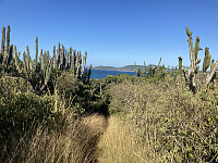 tropd_20220319_62364cabc803c.jpeg