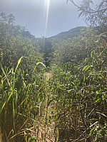 tropd_20220319_62364cce88732.jpeg