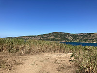 tropd_20220319_62365238b0e16.jpeg