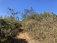 tropd_20220319_62365243a575b.jpeg