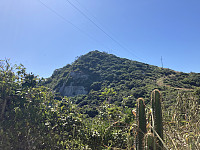 tropd_20220319_6236524624b3f.jpeg