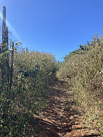 tropd_20220319_623652490d58f.jpeg