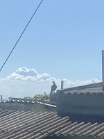 tropd_20220319_6236526f8d8e4.jpeg