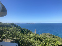 tropd_20220319_62365286d6a3e.jpeg
