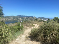 tropd_20220319_623652a32ac8b.jpeg