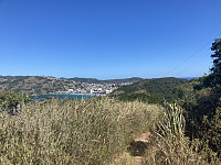 tropd_20220319_623652a7425ef.jpeg