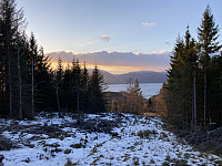 tropd_20220407_624f4360a75e2.jpeg