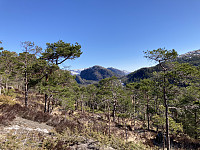 tropd_20220421_62612b12c5a6f.jpeg