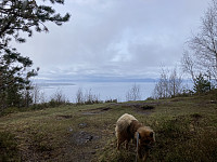 tropd_20220508_6277e81813ea5.jpeg