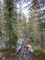 tropd_20220508_6277e879257cf.jpeg
