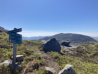 tropd_20220608_62a06aeb59b81.jpeg