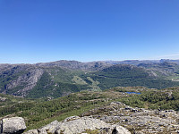 tropd_20220608_62a06af23ca81.jpeg
