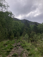 tropd_20220608_62a06ca986f61.jpeg