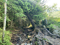 tropd_20220608_62a06cd68810f.jpeg
