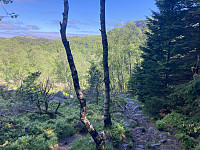 tropd_20220608_62a06cddca481.jpeg