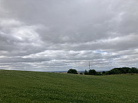 tropd_20220728_62e2f8c45d332.jpeg